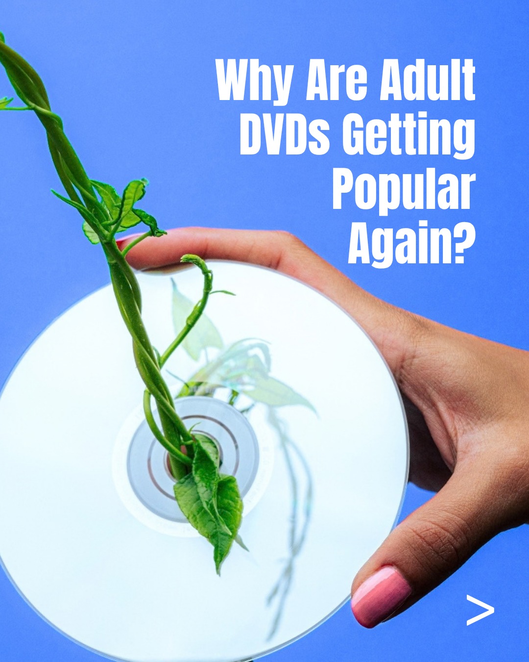 Adult DVD sales are climbing, but only in certain states? The answer's more depressing than you think, but it just might bring a glimmer…